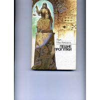 Книга Пешие прогулки