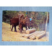 Этнография. Таиланд