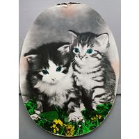 Котята. Размер 17х23см