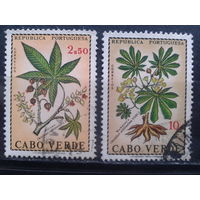 Кабо Верде, колония Португалии, 1968. Чудо дерево и маниока