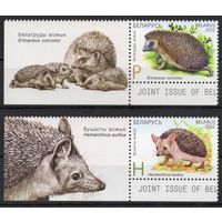 Беларусь 2012. Ежи. 2 марки+купон 925-26 (610)