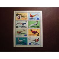 Северная Корея 1976 г.Фазаны./п-т/