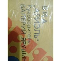 Виниловая пластинка