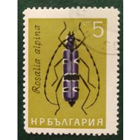 Болгария 1964 жуки 1 из 6,.