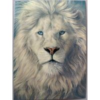 Белый лев. Lucie Bilodeau. Авторская открытка, глянец. АСARDS.BY