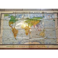 Карта зоогеографическая мира