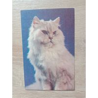 Календарик 1990