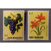 Сан-Марино, флора