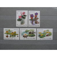 Продажа коллекции с 1 рубля! Почтовые марки СССР