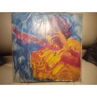 Jimi Hendrix Concerts (2 пластинки)