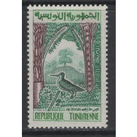 Тунис 1959** Фауна Птица (Mi#516)