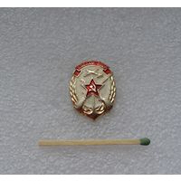 ДОСААФ СССР.