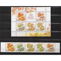 Россия.2003, 20 августа. Грибы-двойники. КОМПЛЕКТ**.