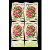 Беларусь. 2008. Стандарт. Пион (20р) (з.43-2011)
