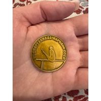 Vl спартакиада народов значок