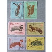 Болгария фауна 6шт