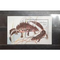 Лаос. 1994 год. Фауна. Пресмыкающиеся. Тритоны. Блок (1062)