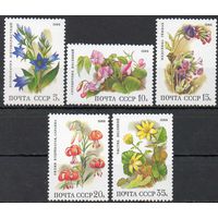 Цветы СССР 1988 год (5965-5969) серия из 5 марок
