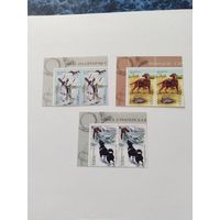 Беларусь  2010   3 м собаки (серия)