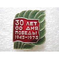 30 лет со дня Победы.