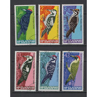 Фауна Птицы Болгария 1978 Дятлы Used