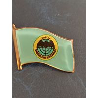 Значок - флажок Войска специального назначения