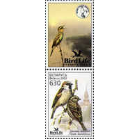 Птица года. Домовой воробей Беларусь 2003 год (507) серия из 1 марки с купоном