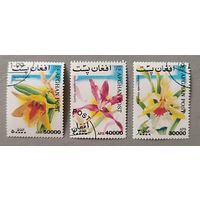 Орхидеи. Афганистан, 1999