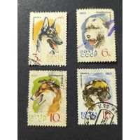 1965 СССР. Охотничьи и служебные собаки