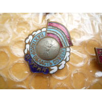 Набор из 2 значков