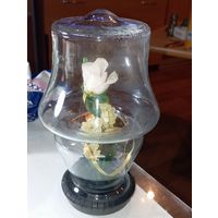 Сувенир из СССР .