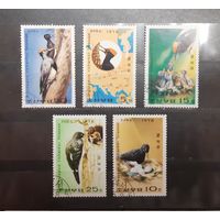 Корея. 1978 год. Фауна. Птицы (386)