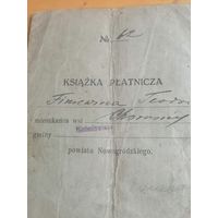 Старый польский документ Новогрудского повета.См.фото.