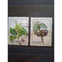 Китай флора