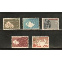 Нидерланды-1967(Мих.873-877) , ** , Морская Фауна, Крабы, Раковины (полная серия)