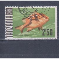 [1735] Танзания 1967. Фауна.Рыба. Гашеная марка.