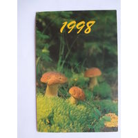 Календарик 1998 г. Боровики.