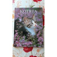 Маркус Шнек. "Котята". Фотоиллюстрации.