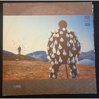 Pink Floyd – Delicate Sound Of Thunder 2LP