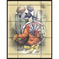 Блок 66 "Куры"