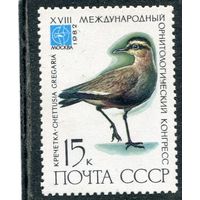 СССР 1982. Фауна. Птицы. Кречетка