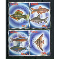 Танзания - 1998 - Рыбки - 2 сцепки - 4 марки. Гашеные.  (LOT HB39)-T10P26