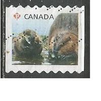 Канада. Грызуны. 2014г. Mi#2882.