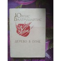 Юргис Балтрушайтис, Дерево в огне, стихи