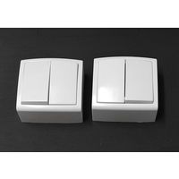 Выключатель 2-клавишный ОП 2 штуки с 1 рубля