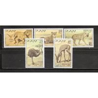 ФФ2 Сахара 1990 Фауна