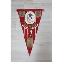 Вымпел, обладатель кубка СССР, С К А Минск, чемпион СССР.
