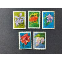 1971 СССР. Тропические и субтропические растения. Полная серия