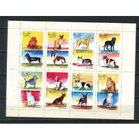 Оман (штат) - 1972 - Кошки и собаки - сцепка - 8 марок. MNH.  (Лот 48JQ)-T3P34