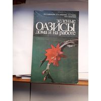 Бибикова Оазисы дома и на работе